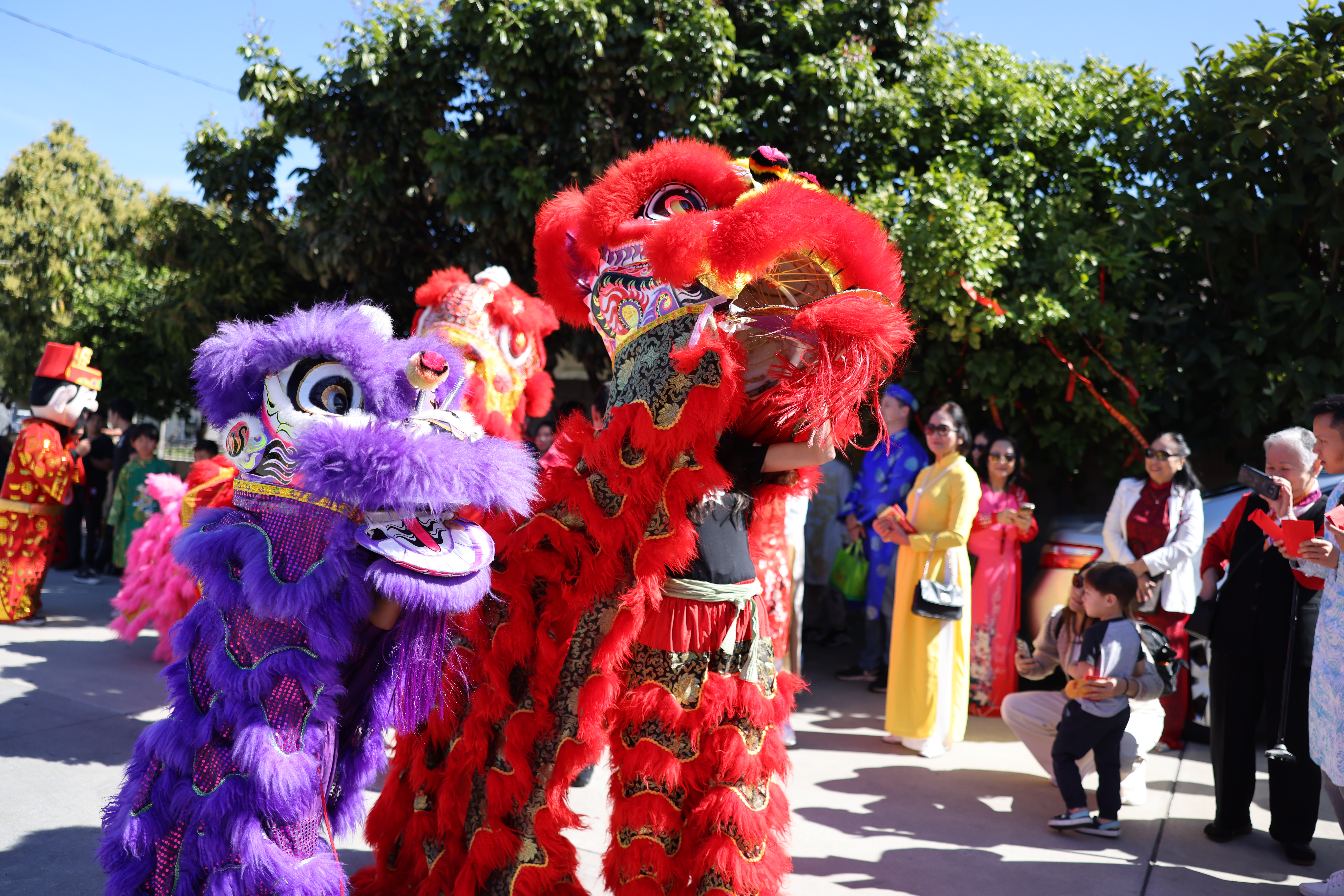 Lunar New Year 2026 Photo 1