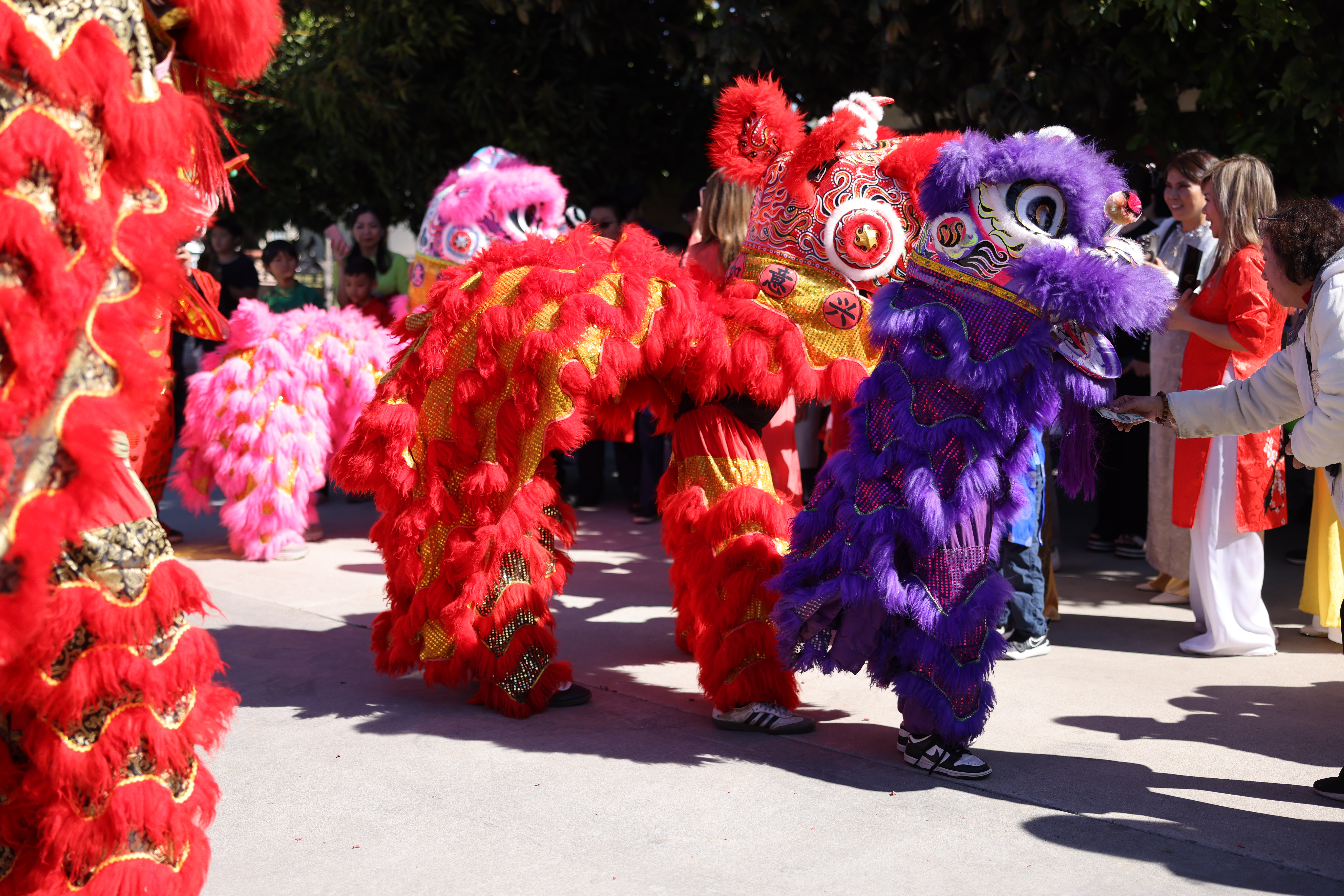 Lunar New Year 2026 Photo 2